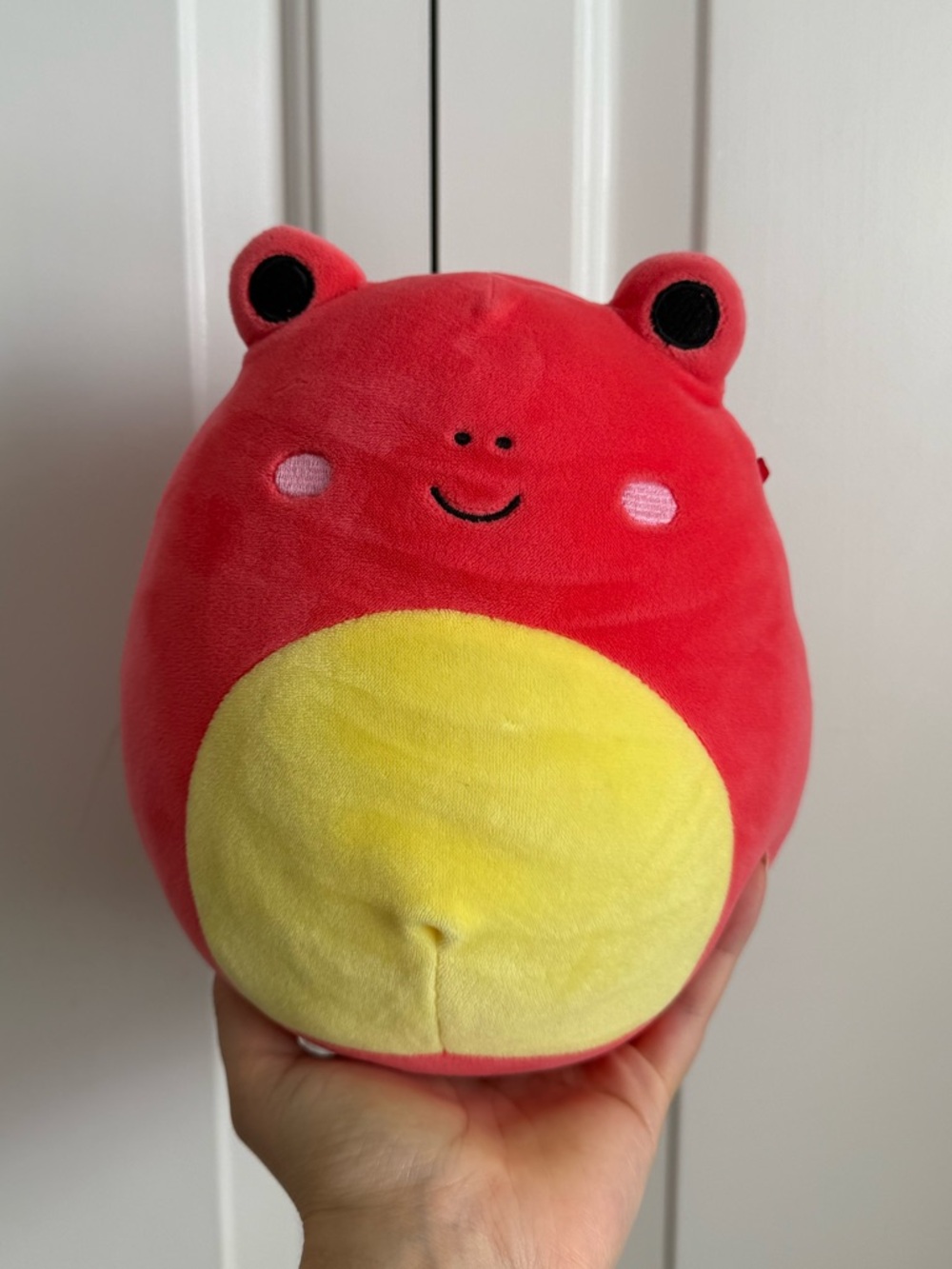 Obu the Red Frog 7.5” Squishmallow
